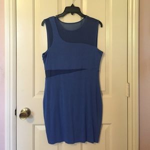 Bailey44 blue bodycon