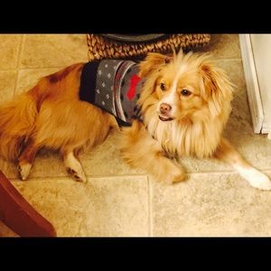 Meet your Posher, Janet