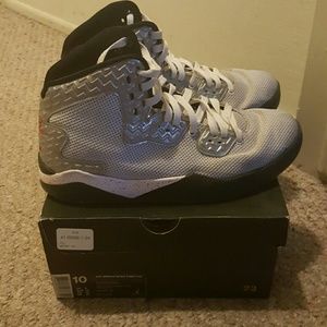 Men's Air Jordan Spike Forty PE