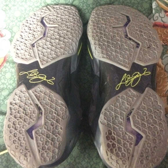 Lebrons - Picture 4 of 4