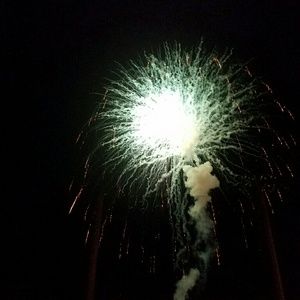 Meet your Posher, Mykey