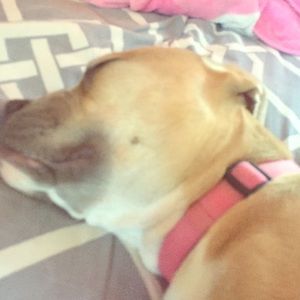 Meet your Posher, Jasmine