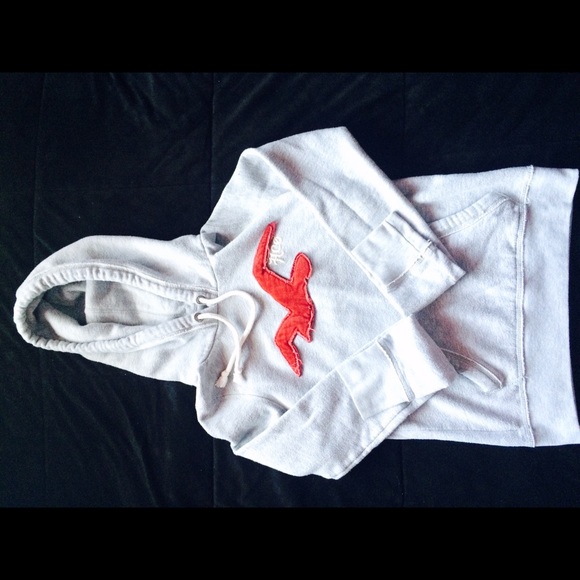 Hollister Hoodie