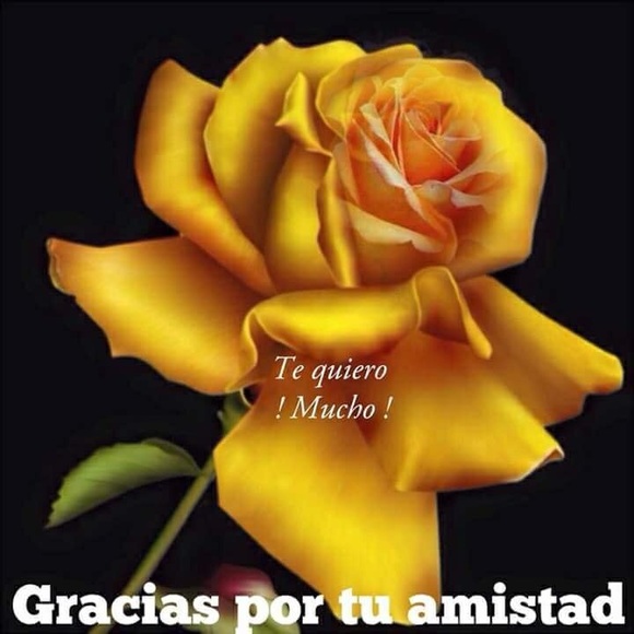 Meet your Posher, Carmen