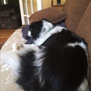 Meet your Posher, Kat