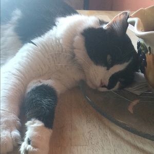 Meet your Posher, Heidi