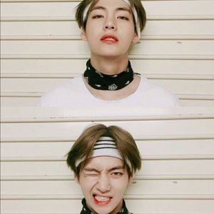 Meet your Posher, Damika