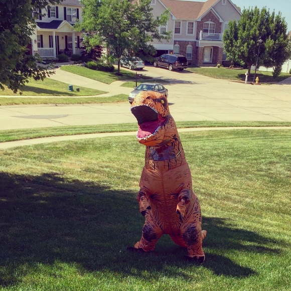 Meet your Posher, Hollynn - Picture 1 of 1