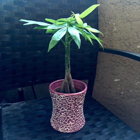 Cute sculpted vase