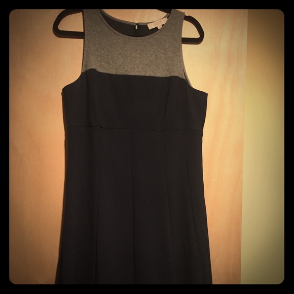 Classy and comfy Ann Taylor Loft skater dress