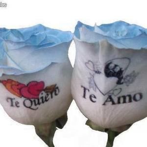 Meet your Posher, Martha