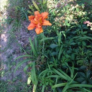 Meet your Posher, Brandy