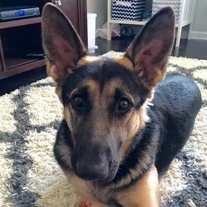 Meet your Posher, Cathy