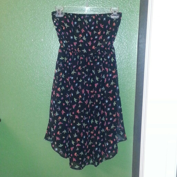 ❤️BIRD PRINT DRESS❤️ COLLECTION ( NWOT ) .