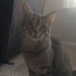 Meet your Posher, Danny