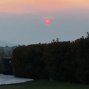 Meet your Posher, Ann