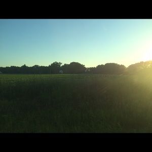 Meet your Posher, Isabel