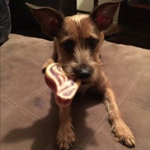 Meet your Posher, Dani