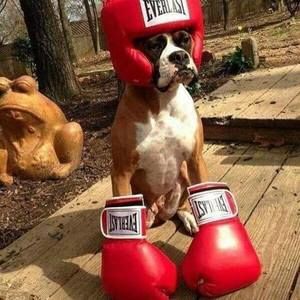 Meet your Posher, Chrissy