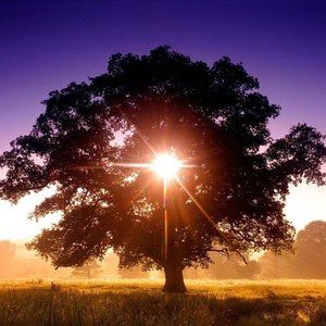 Meet your Posher, Ebony