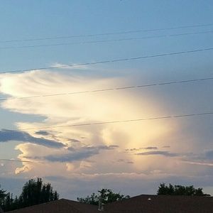 Meet your Posher, Sienna