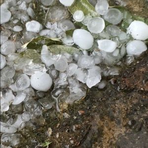 Meet your Posher, Ash