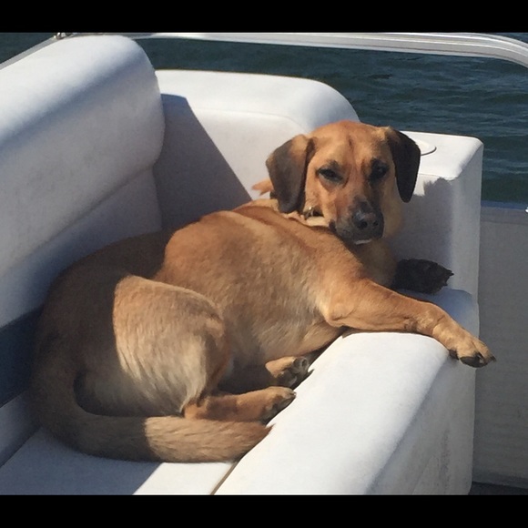 Meet your Posher, Amy