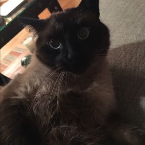 Meet your Posher, Kathy