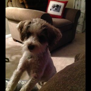 Meet your Posher, Mary