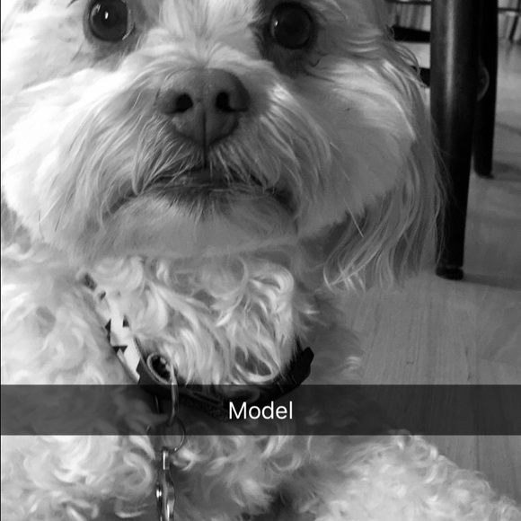 Meet your Posher, Karen