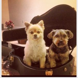 Meet your Posher, Yong