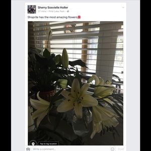 Meet your Posher, Sherry