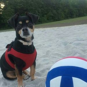 Meet your Posher, Brady