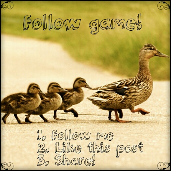 Follow Game! - Picture 1 of 1