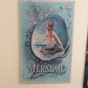 14x8 iron plated sign