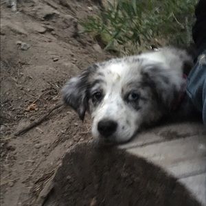 Meet your Posher, Larissa