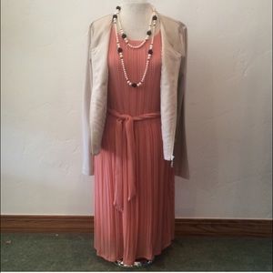 Pale Pink Pleated Dress NWTR Size 6