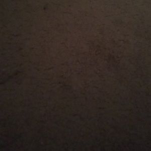 Meet your Posher, Mia