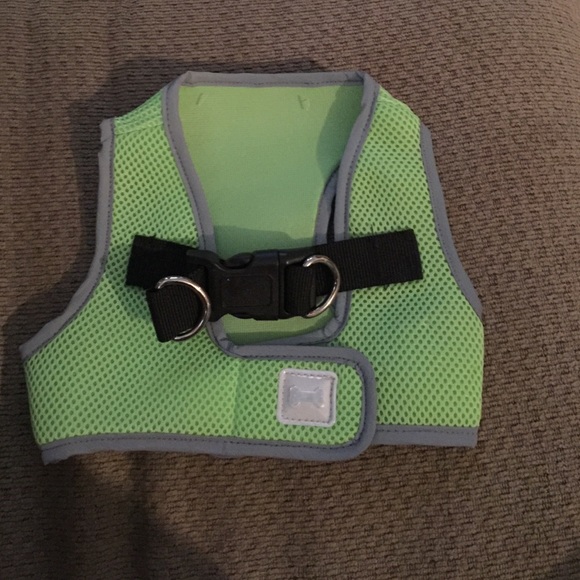 Dog harness for a 10-15 lb dog