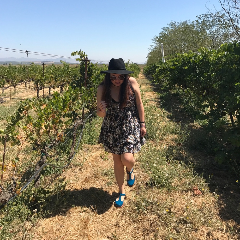 Meet your Posher, Ellen