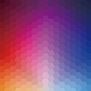 Meet your Posher, Mattie