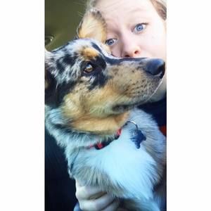 Meet your Posher, Kristen