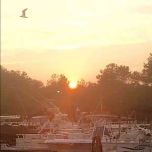 Meet your Posher, Traci