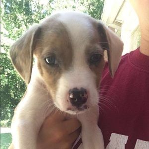 Meet your Posher, Kristyn