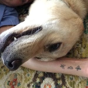 Meet your Posher, Jenny