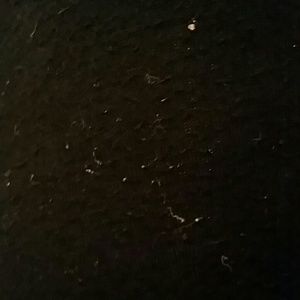 Meet your Posher, Timmi