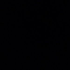 Meet your Posher, Niquanna