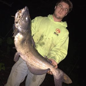 Meet your Posher, Dillon