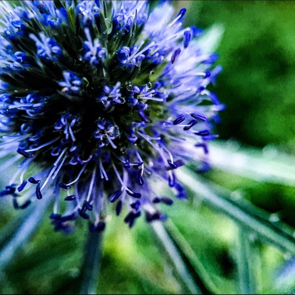 Meet your Posher, Bruna - Picture 1 of 1