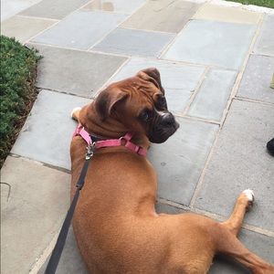 Meet your Posher, Melissa